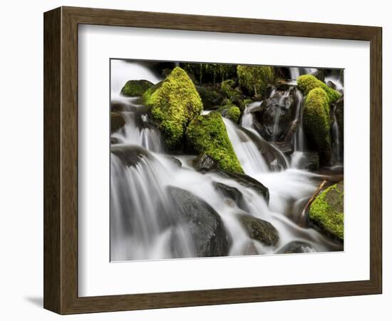 Waterfall, Olympic National Park, Washington, USA-Tom Norring-Framed Photographic Print