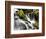 Waterfall, Olympic National Park, Washington, USA-Tom Norring-Framed Photographic Print