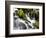 Waterfall, Olympic National Park, Washington, USA-Tom Norring-Framed Photographic Print