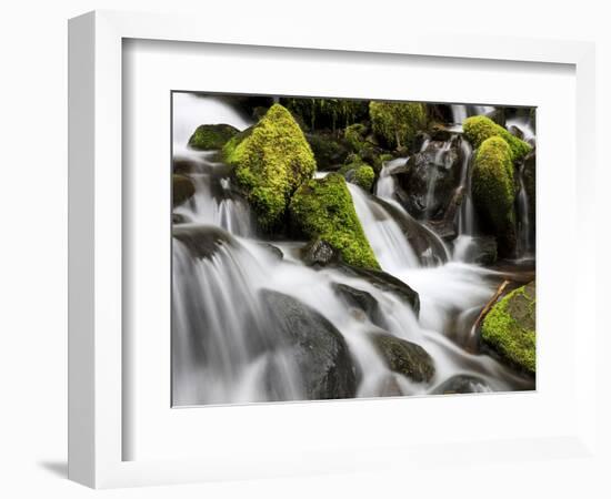 Waterfall, Olympic National Park, Washington, USA-Tom Norring-Framed Photographic Print