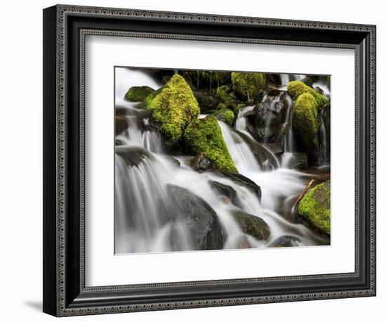 Waterfall, Olympic National Park, Washington, USA-Tom Norring-Framed Photographic Print