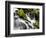 Waterfall, Olympic National Park, Washington, USA-Tom Norring-Framed Photographic Print