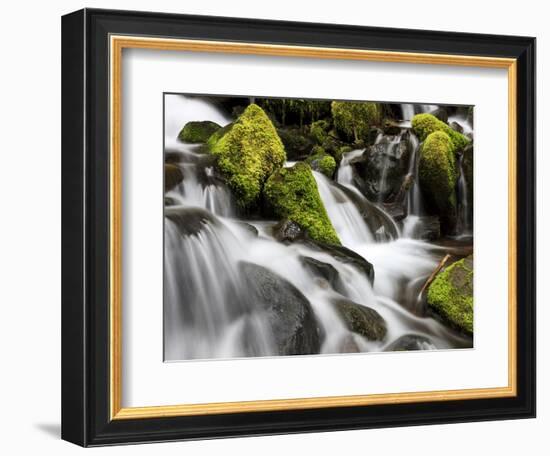 Waterfall, Olympic National Park, Washington, USA-Tom Norring-Framed Photographic Print