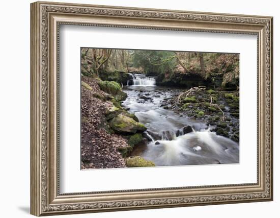 Waterfall on Harden Beck in Goitstock Wood, Cullingworth, Yorkshire, England, UK-Mark Sunderland-Framed Photographic Print