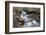 Waterfall on Harden Beck in Goitstock Wood, Cullingworth, Yorkshire, England, UK-Mark Sunderland-Framed Photographic Print