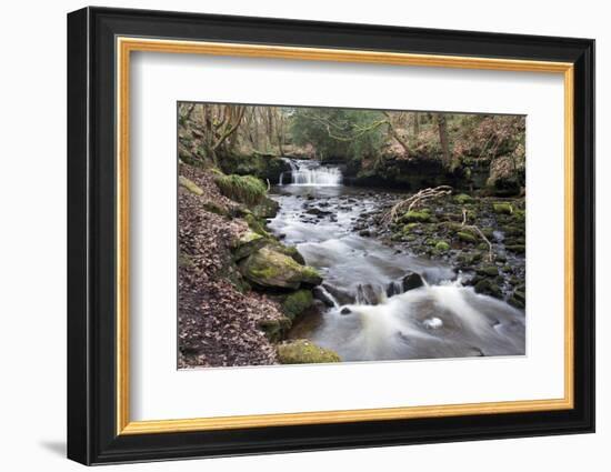 Waterfall on Harden Beck in Goitstock Wood, Cullingworth, Yorkshire, England, UK-Mark Sunderland-Framed Photographic Print