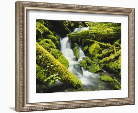 Waterfall over Moss Covered Rock, Olympic National Park, Washington, USA-Stuart Westmoreland-Framed Photographic Print