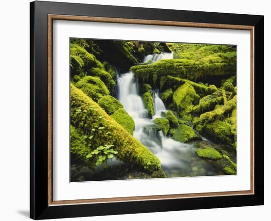 Waterfall over Moss Covered Rock, Olympic National Park, Washington, USA-Stuart Westmoreland-Framed Photographic Print