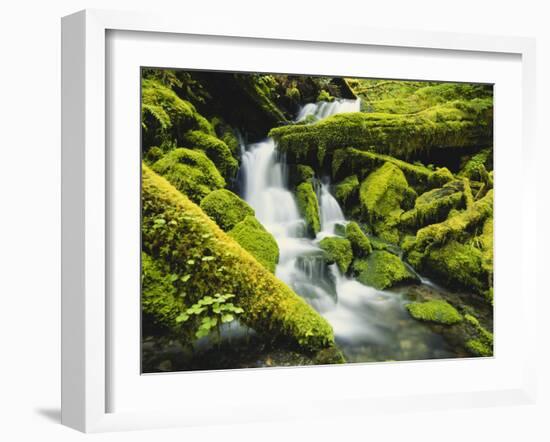 Waterfall over Moss Covered Rock, Olympic National Park, Washington, USA-Stuart Westmoreland-Framed Photographic Print