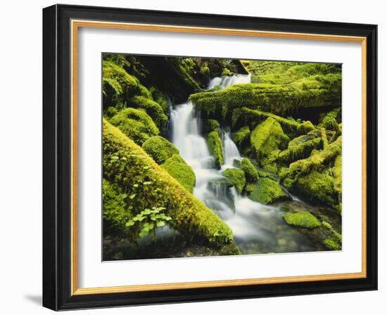 Waterfall over Moss Covered Rock, Olympic National Park, Washington, USA-Stuart Westmoreland-Framed Photographic Print