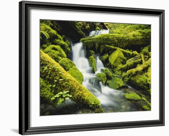 Waterfall over Moss Covered Rock, Olympic National Park, Washington, USA-Stuart Westmoreland-Framed Photographic Print