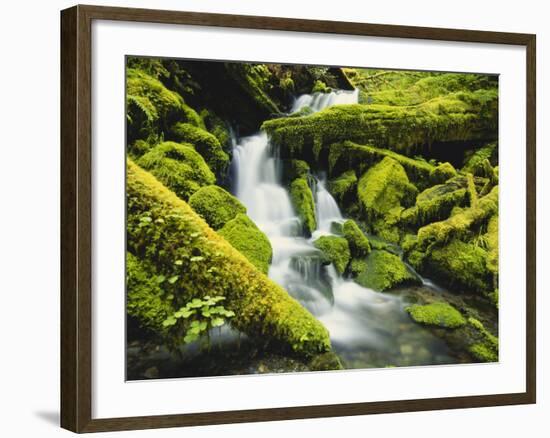 Waterfall over Moss Covered Rock, Olympic National Park, Washington, USA-Stuart Westmoreland-Framed Photographic Print