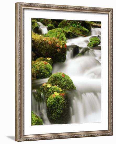 Waterfall Over Rocks-Stuart Westmorland-Framed Photographic Print