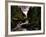 Waterfall, River Severn, Hafren Forest, Wales-Clive Nolan-Framed Photographic Print