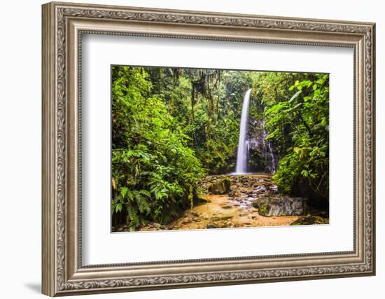 Waterfall San Vincente in an Area of Jungle Called Mashpi Cloud Forest in the Choco Rainforest-Matthew Williams-Ellis-Framed Photographic Print