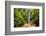 Waterfall San Vincente in an Area of Jungle Called Mashpi Cloud Forest in the Choco Rainforest-Matthew Williams-Ellis-Framed Photographic Print