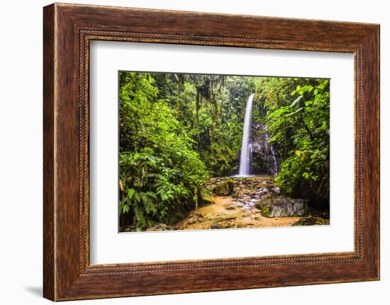 Waterfall San Vincente in an Area of Jungle Called Mashpi Cloud Forest in the Choco Rainforest-Matthew Williams-Ellis-Framed Photographic Print