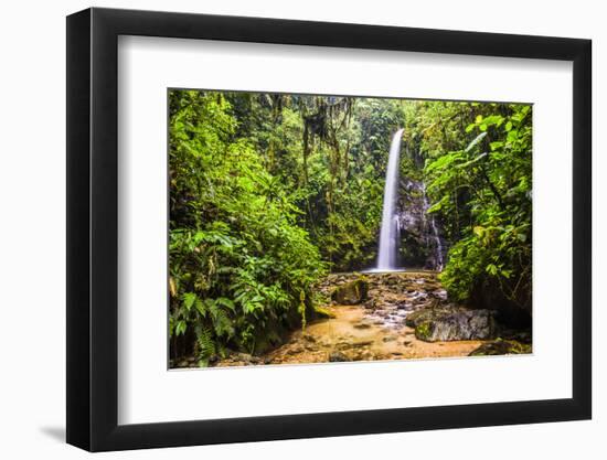 Waterfall San Vincente in an Area of Jungle Called Mashpi Cloud Forest in the Choco Rainforest-Matthew Williams-Ellis-Framed Photographic Print