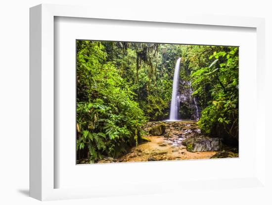 Waterfall San Vincente in an Area of Jungle Called Mashpi Cloud Forest in the Choco Rainforest-Matthew Williams-Ellis-Framed Photographic Print