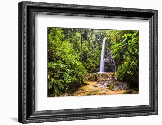 Waterfall San Vincente in an Area of Jungle Called Mashpi Cloud Forest in the Choco Rainforest-Matthew Williams-Ellis-Framed Photographic Print