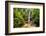 Waterfall San Vincente in an Area of Jungle Called Mashpi Cloud Forest in the Choco Rainforest-Matthew Williams-Ellis-Framed Photographic Print