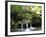 Waterfall Schiessentumpel at Mullerthal, Luxembourg, Europe-Hans Peter Merten-Framed Photographic Print