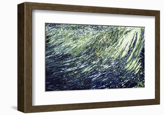 Waterfall, St. Marks River, Florida-Margaret Juul-Framed Giclee Print