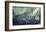 Waterfall, St. Marks River, Florida-Margaret Juul-Framed Giclee Print