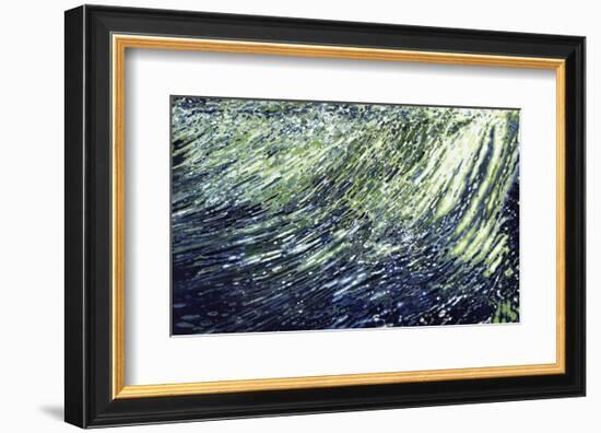 Waterfall, St. Marks River, Florida-Margaret Juul-Framed Art Print