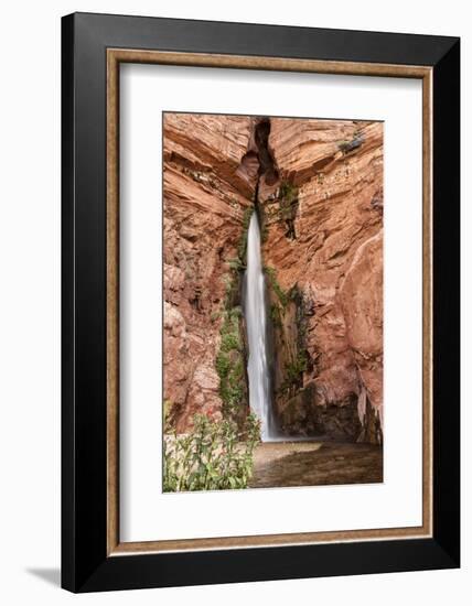 Waterfall. Tributary to Colorado River. Grand Canyon. Arizona. USA-Tom Norring-Framed Photographic Print