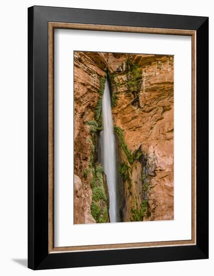 Waterfall. Tributary to Colorado River. Grand Canyon. Arizona. USA-Tom Norring-Framed Photographic Print