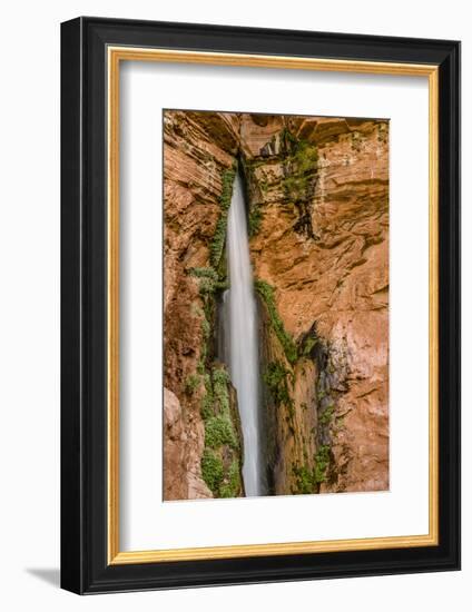 Waterfall. Tributary to Colorado River. Grand Canyon. Arizona. USA-Tom Norring-Framed Photographic Print