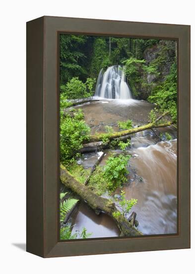 Waterfall with a Fallen Tree, Fairy Glen Rspb Reserve, Inverness-Shire, Scotland, UK, July-Peter Cairns-Framed Premier Image Canvas