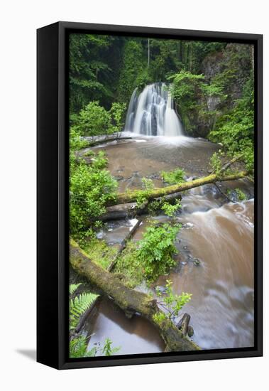 Waterfall with a Fallen Tree, Fairy Glen Rspb Reserve, Inverness-Shire, Scotland, UK, July-Peter Cairns-Framed Premier Image Canvas