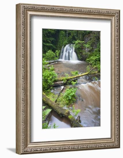 Waterfall with a Fallen Tree, Fairy Glen Rspb Reserve, Inverness-Shire, Scotland, UK, July-Peter Cairns-Framed Photographic Print