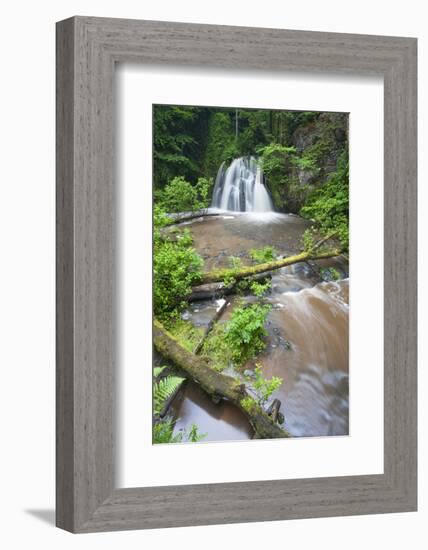 Waterfall with a Fallen Tree, Fairy Glen Rspb Reserve, Inverness-Shire, Scotland, UK, July-Peter Cairns-Framed Photographic Print