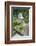 Waterfall with a Fallen Tree, Fairy Glen Rspb Reserve, Inverness-Shire, Scotland, UK, July-Peter Cairns-Framed Photographic Print