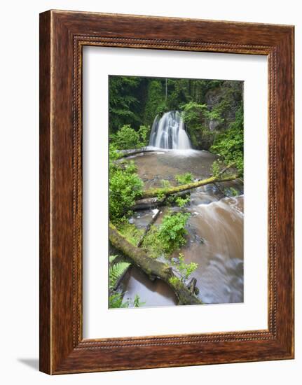 Waterfall with a Fallen Tree, Fairy Glen Rspb Reserve, Inverness-Shire, Scotland, UK, July-Peter Cairns-Framed Photographic Print