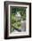 Waterfall with a Fallen Tree, Fairy Glen Rspb Reserve, Inverness-Shire, Scotland, UK, July-Peter Cairns-Framed Photographic Print