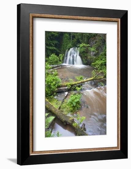 Waterfall with a Fallen Tree, Fairy Glen Rspb Reserve, Inverness-Shire, Scotland, UK, July-Peter Cairns-Framed Photographic Print