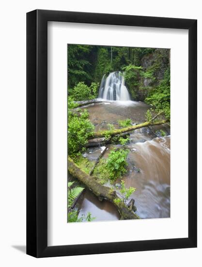 Waterfall with a Fallen Tree, Fairy Glen Rspb Reserve, Inverness-Shire, Scotland, UK, July-Peter Cairns-Framed Photographic Print