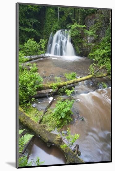 Waterfall with a Fallen Tree, Fairy Glen Rspb Reserve, Inverness-Shire, Scotland, UK, July-Peter Cairns-Mounted Photographic Print