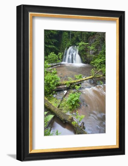 Waterfall with a Fallen Tree, Fairy Glen Rspb Reserve, Inverness-Shire, Scotland, UK, July-Peter Cairns-Framed Photographic Print