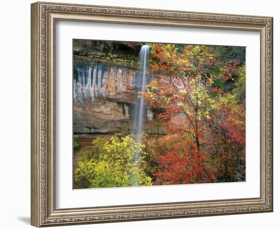 Waterfall with Fall Foliage, Emerald Pools, Zion Canyon, Zion National Park, Utah, Usa-Scott T. Smith-Framed Photographic Print