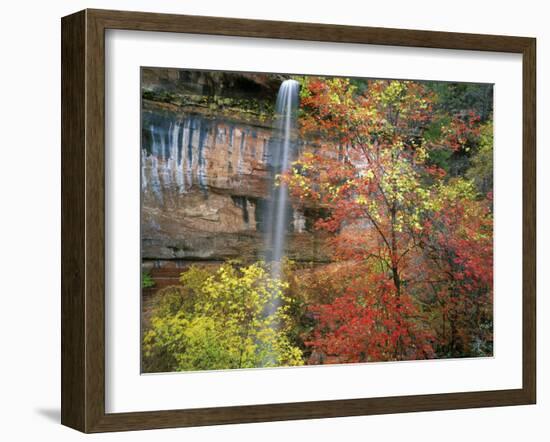 Waterfall with Fall Foliage, Emerald Pools, Zion Canyon, Zion National Park, Utah, Usa-Scott T. Smith-Framed Photographic Print