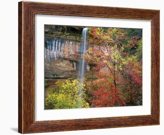 Waterfall with Fall Foliage, Emerald Pools, Zion Canyon, Zion National Park, Utah, Usa-Scott T. Smith-Framed Photographic Print