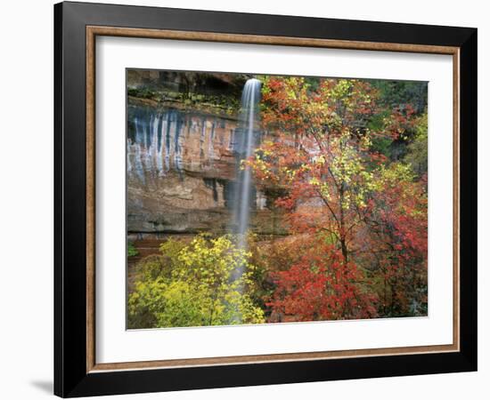 Waterfall with Fall Foliage, Emerald Pools, Zion Canyon, Zion National Park, Utah, Usa-Scott T. Smith-Framed Photographic Print