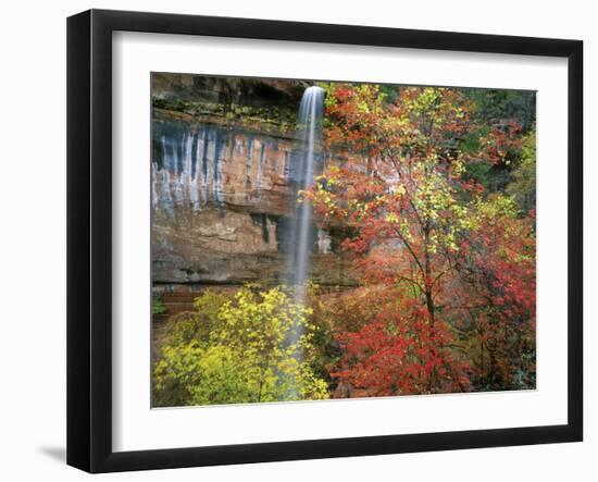 Waterfall with Fall Foliage, Emerald Pools, Zion Canyon, Zion National Park, Utah, Usa-Scott T. Smith-Framed Photographic Print