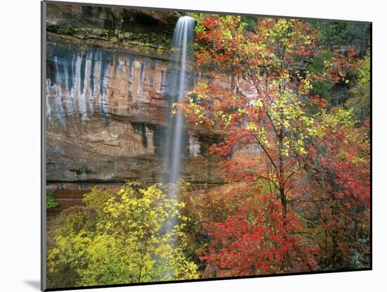 Waterfall with Fall Foliage, Emerald Pools, Zion Canyon, Zion National Park, Utah, Usa-Scott T. Smith-Mounted Photographic Print