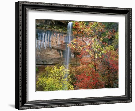 Waterfall with Fall Foliage, Emerald Pools, Zion Canyon, Zion National Park, Utah, Usa-Scott T. Smith-Framed Photographic Print